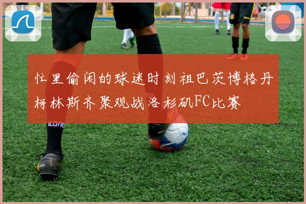 忙里偷闲的球迷时刻祖巴茨博格丹柯林斯齐聚观战洛杉矶FC比赛