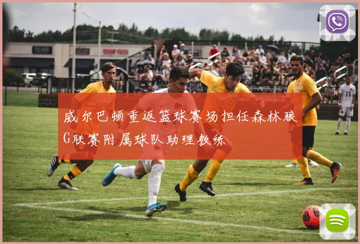 威尔巴顿重返篮球赛场担任森林狼G联赛附属球队助理教练