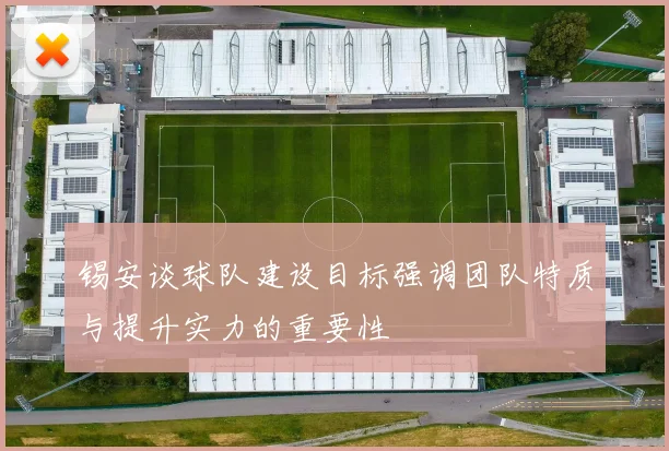 锡安谈球队建设目标强调团队特质与提升实力的重要性